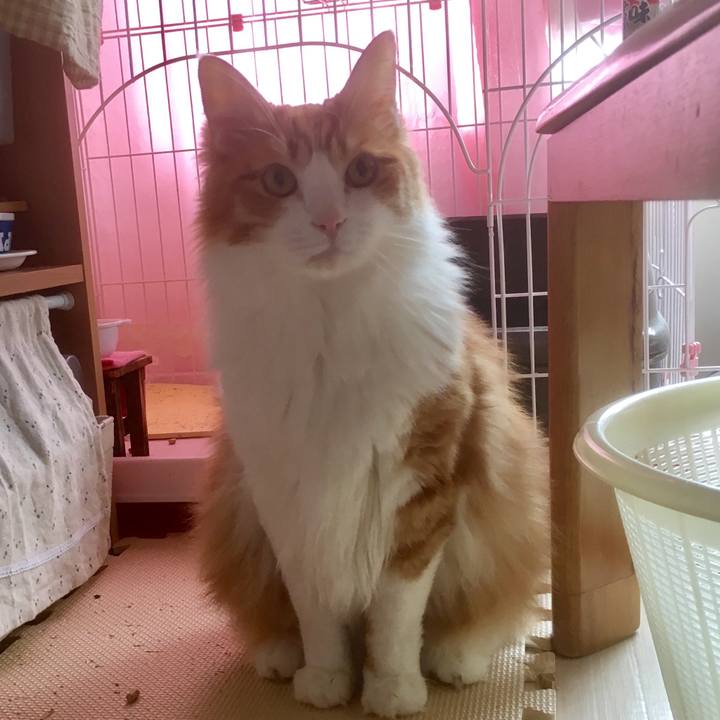 867f1428 debe 46a8 8e92 cdb1b8c158b6