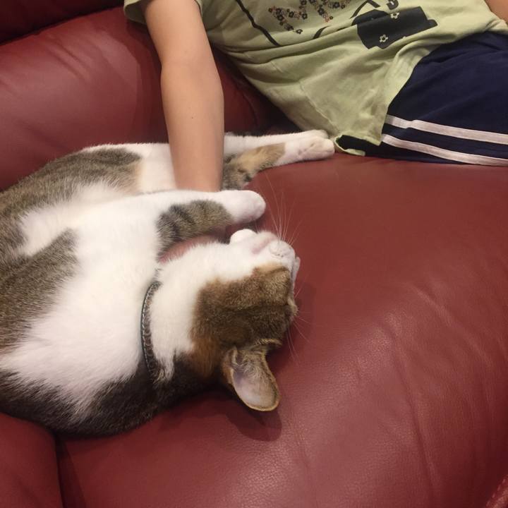 867f3350 a0d3 4c6f 812b d451e342959c