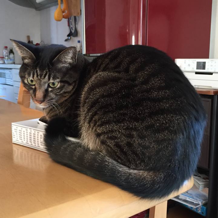 867fb14a 16f9 4db5 9f5d a306dc2ed979