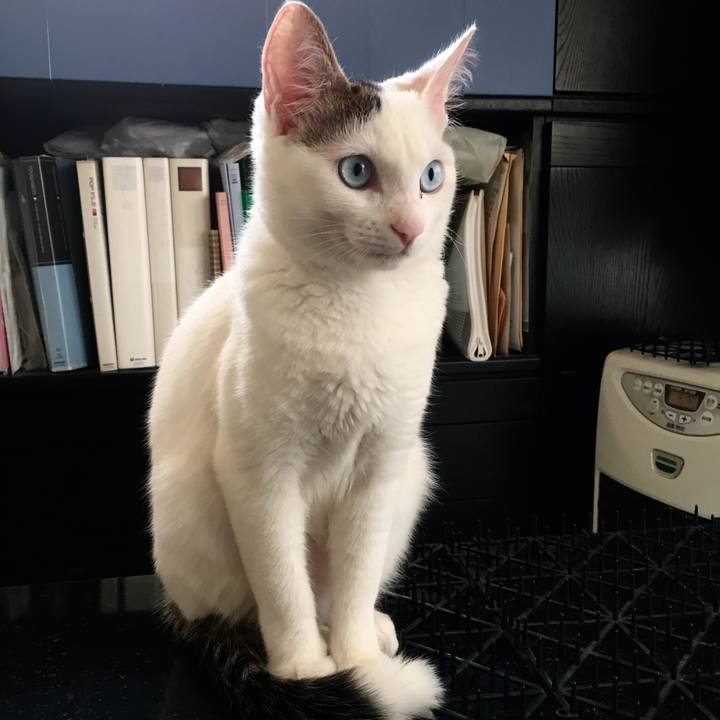 867fd373 6762 4003 93f4 e24e0d99d02a