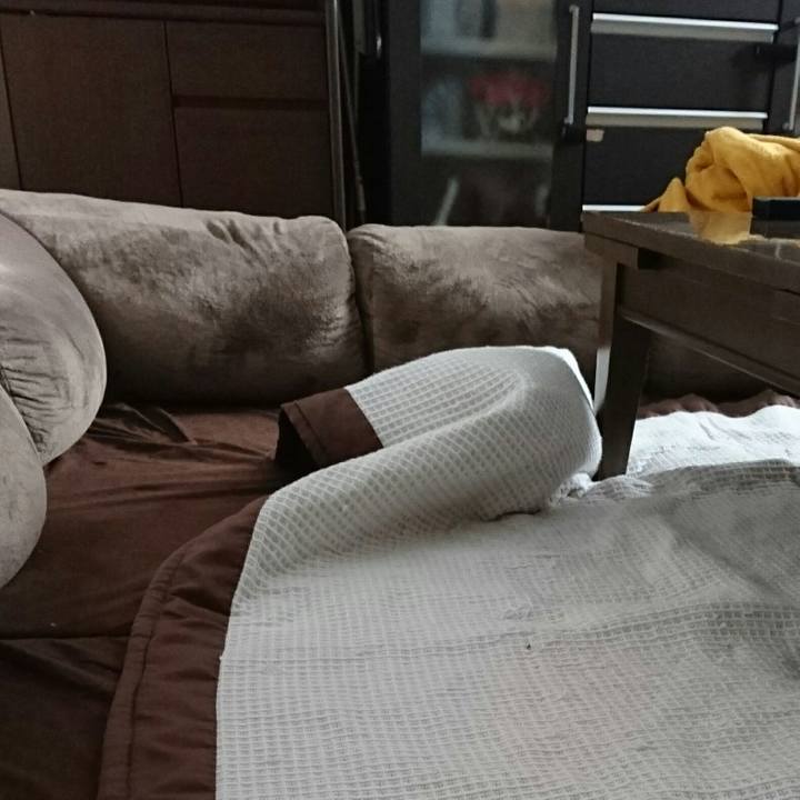 8680494c efcc 43b4 9825 83f783d7ac50