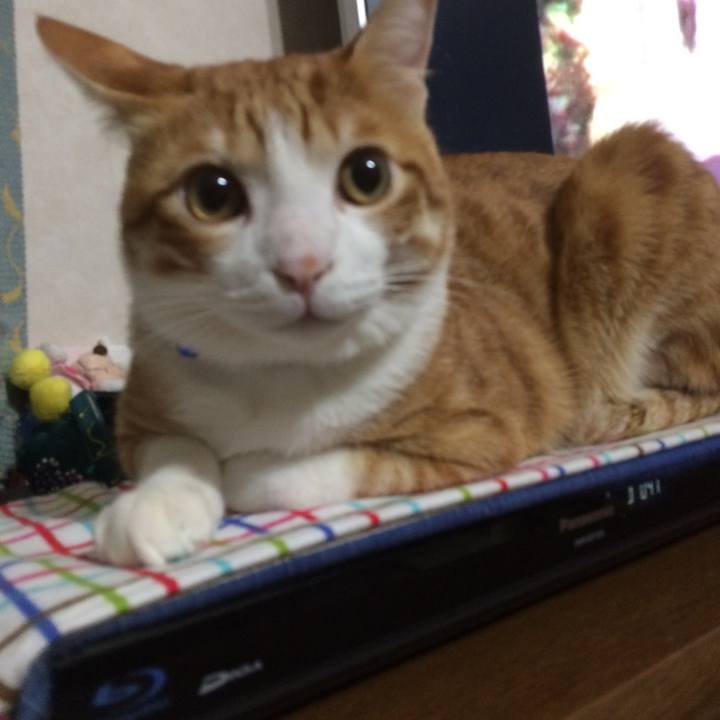 8680c3b5 fedd 468b bcc9 ebdfc7bbef73