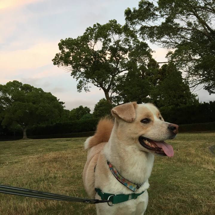 8680ee21 778e 409e ad07 779fd94fa37d