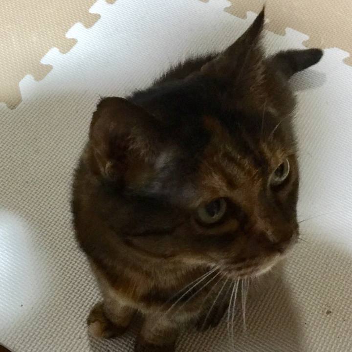 868170ba 33ed 4864 800d 3a16e810c26c