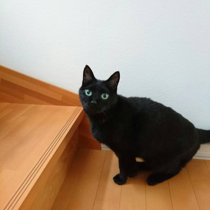 868258f2 b1e3 4f40 959a 63bd9d18e877