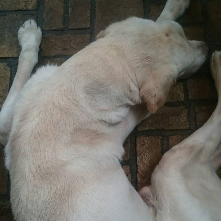 8682d872 dd9b 42ea abda d3699857ce73