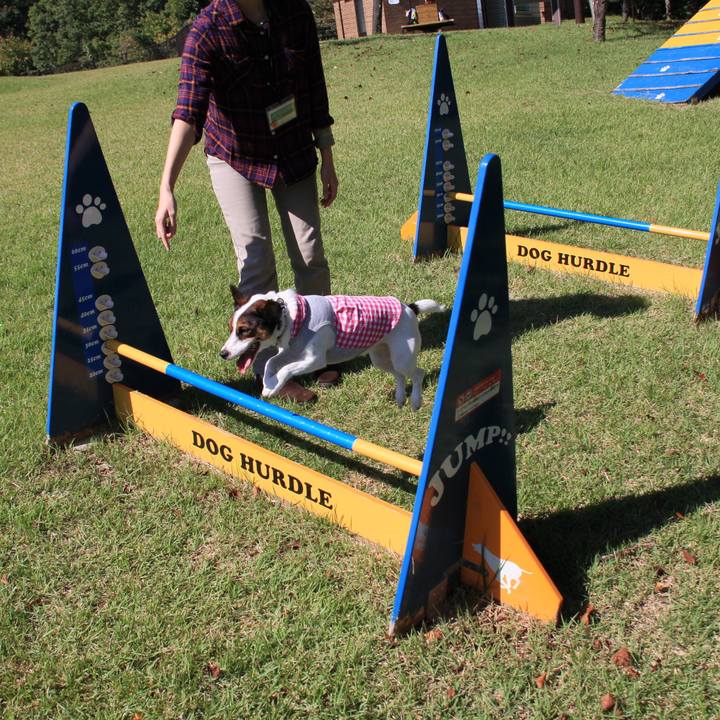 86834acd 21c6 4deb 8492 8fb3e6a9263c