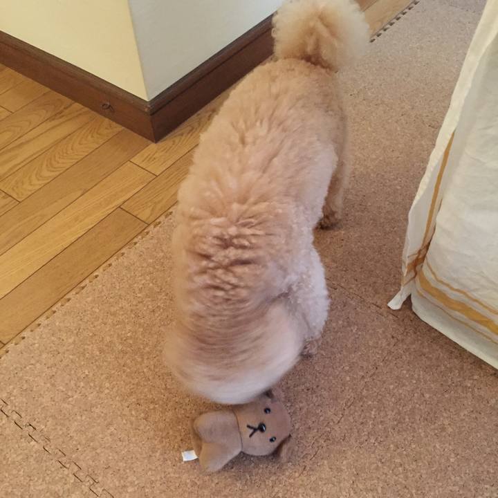 8683554b 6f0e 4ef7 b089 4be07ff144b1