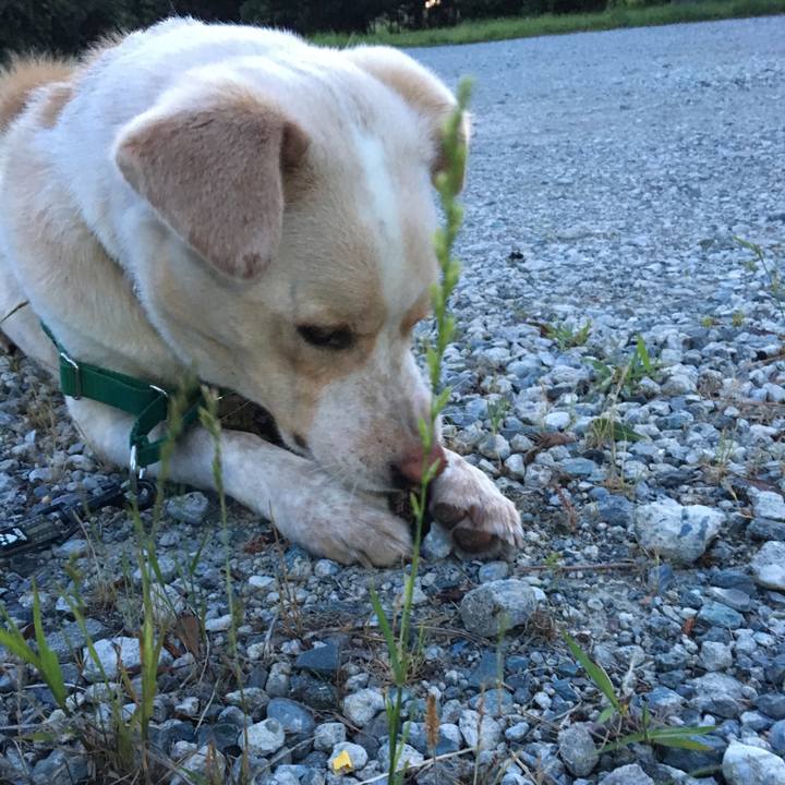 8685262c ae98 464f a4c1 a0819170e284