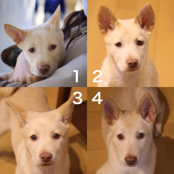 86852fa6 e0f3 481d 8ad2 59ba6e02bf2e