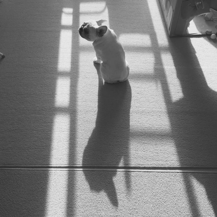 868560c3 be0b 4fac aed2 1993d3569221