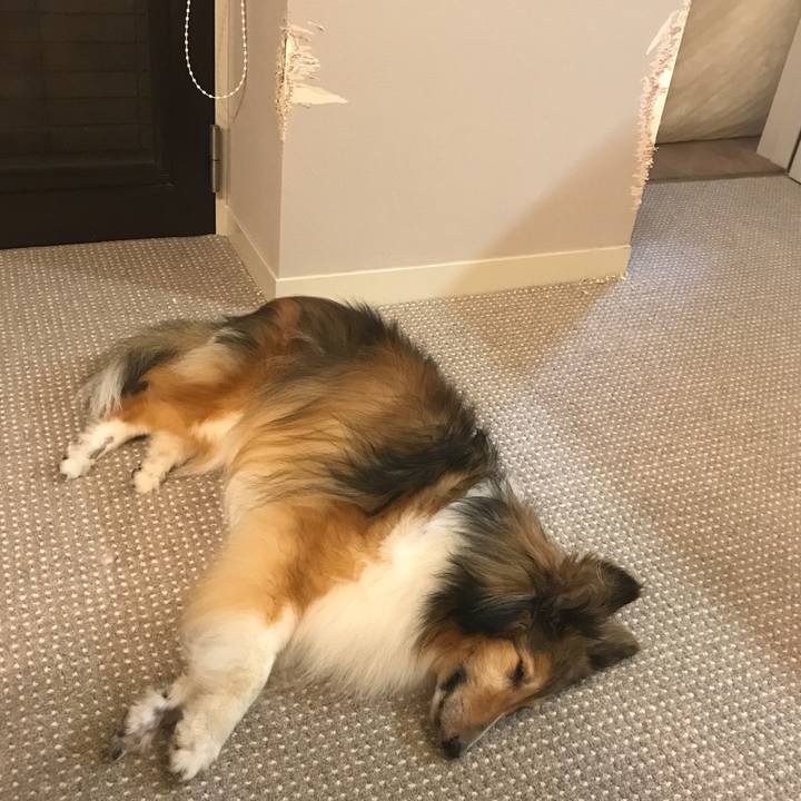 8685a0c6 2e97 4c63 b68e a5071ed8897b