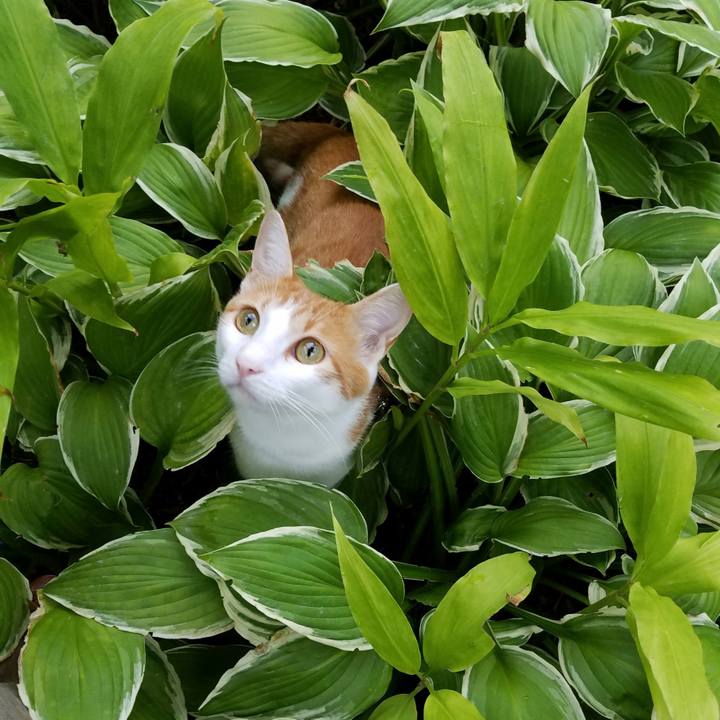 86871c0d 17dc 4a13 9789 1eea5b1d1d28