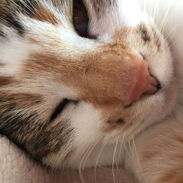 86886fc9 3f91 41bd b443 92a3ea4f6a91