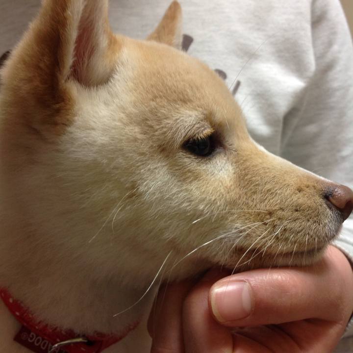 8688b425 941c 41f0 b868 b9bae97f13d4