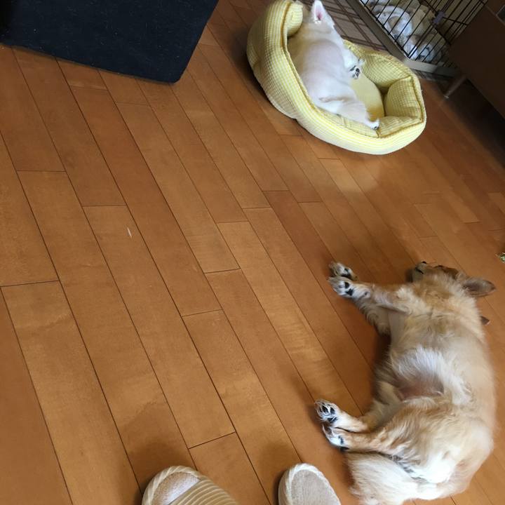 8689ec22 8eb5 4924 969c 0cc9d8188143