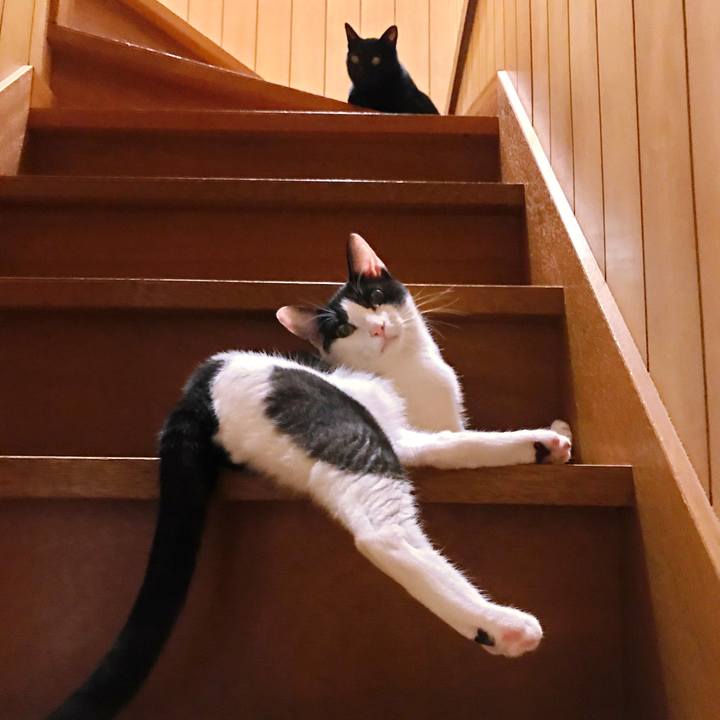 868a25a6 c99d 4b8d be14 14318f38a06f