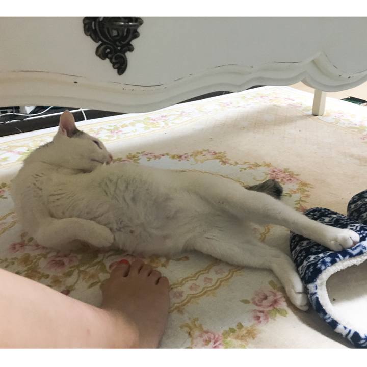 868a8242 5645 414d a1b3 112bc3a9639e