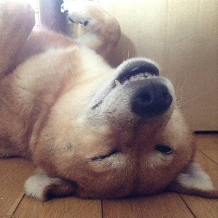 868a95e2 c5bd 451b bf70 24fef9d925aa