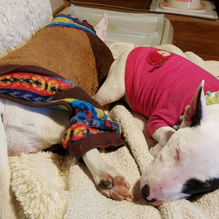 868a982f 4e5b 43d0 9d62 744b5a8b9bc7