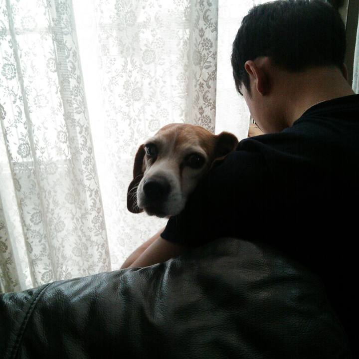 868b2cf4 7ad8 4fd0 8375 161d07a858bd