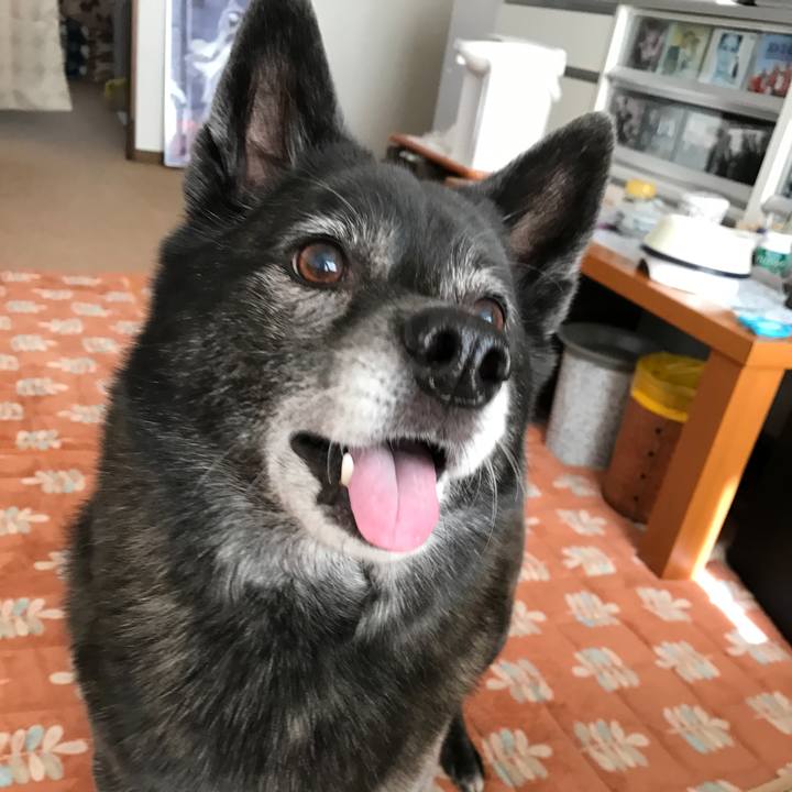 868b6073 7264 40a5 86e8 7438621d9e6e