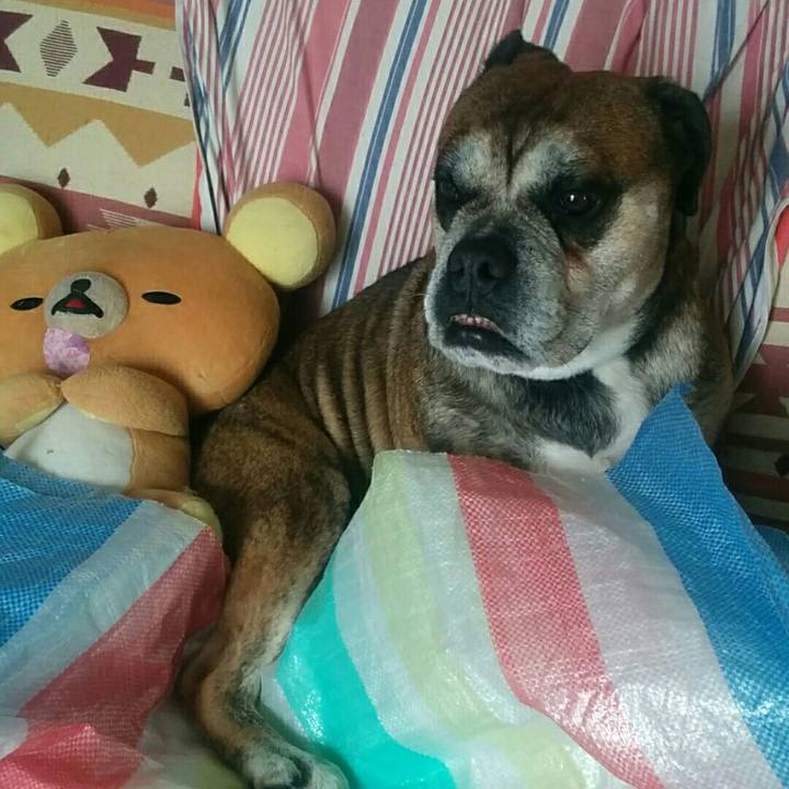 868d29d1 30f6 41a7 8337 b300e52f2b2f