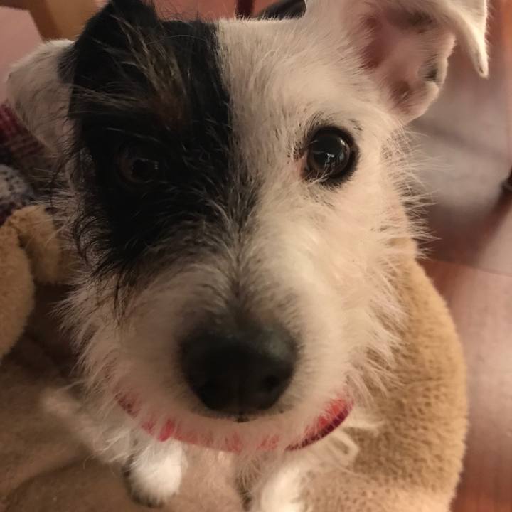 868de441 50c1 4ce5 b33f abf037fbd344