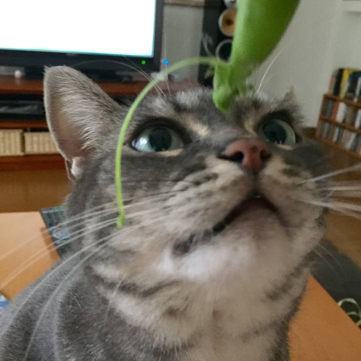 868debe6 8e2f 46b7 bf8f cfa4f198f612