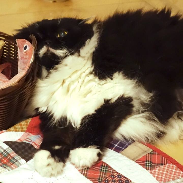 868e07b7 7277 4d0f 8ae0 9d8ee65302b3