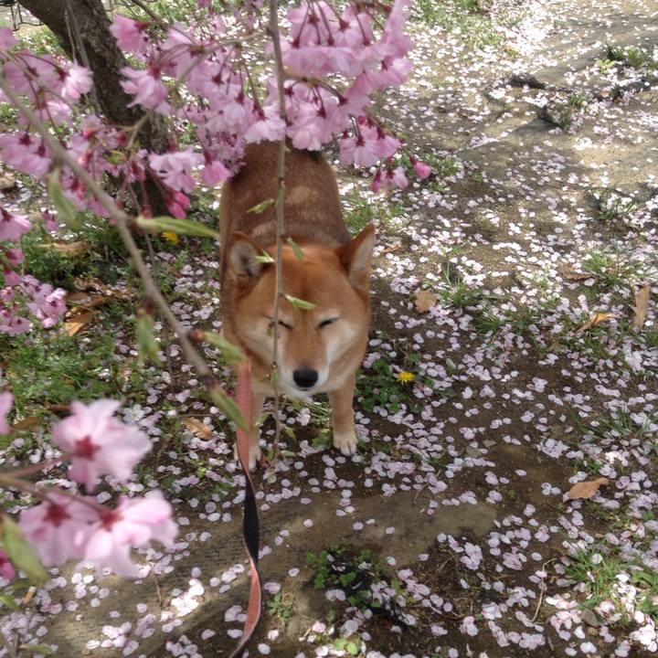 868e52e5 2492 41bc 93b6 d1624ccd220e