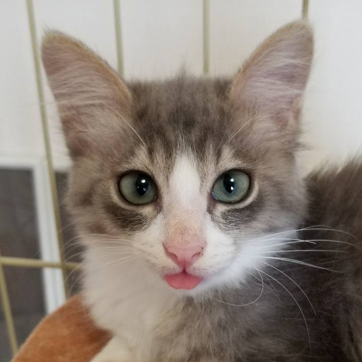 868e6a2e 32b4 4719 a1ac bca690dae297