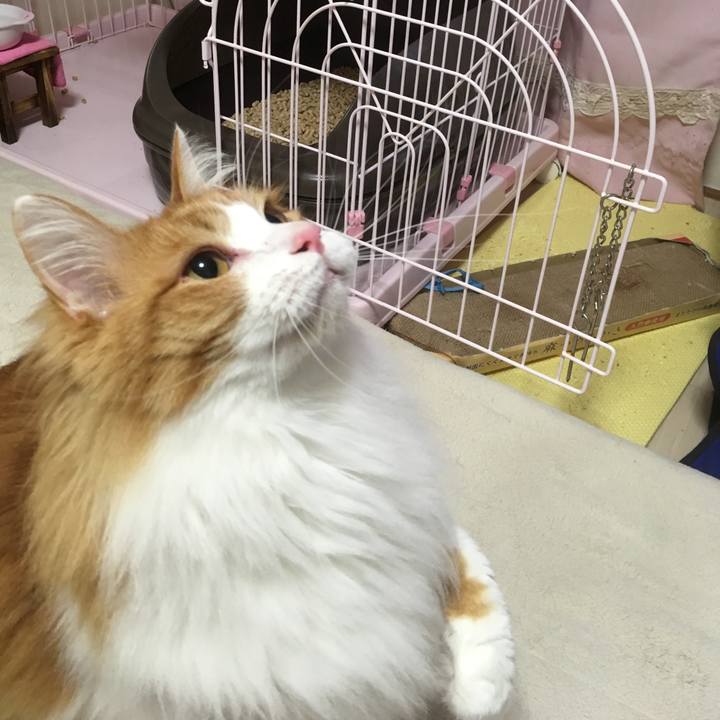 868f499c 2509 4e01 a492 81a59e1f8afb