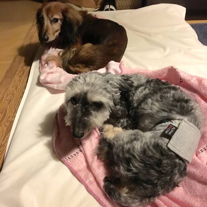 868fc28b 8ddf 4f6e 98fb b83e1eded0da