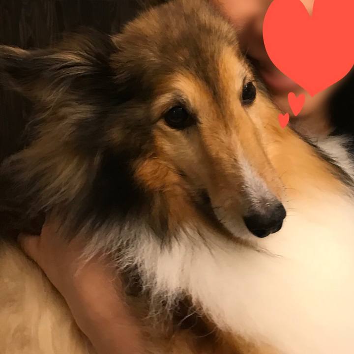 868ff243 cd36 4cd8 9795 bf883c5c71d6