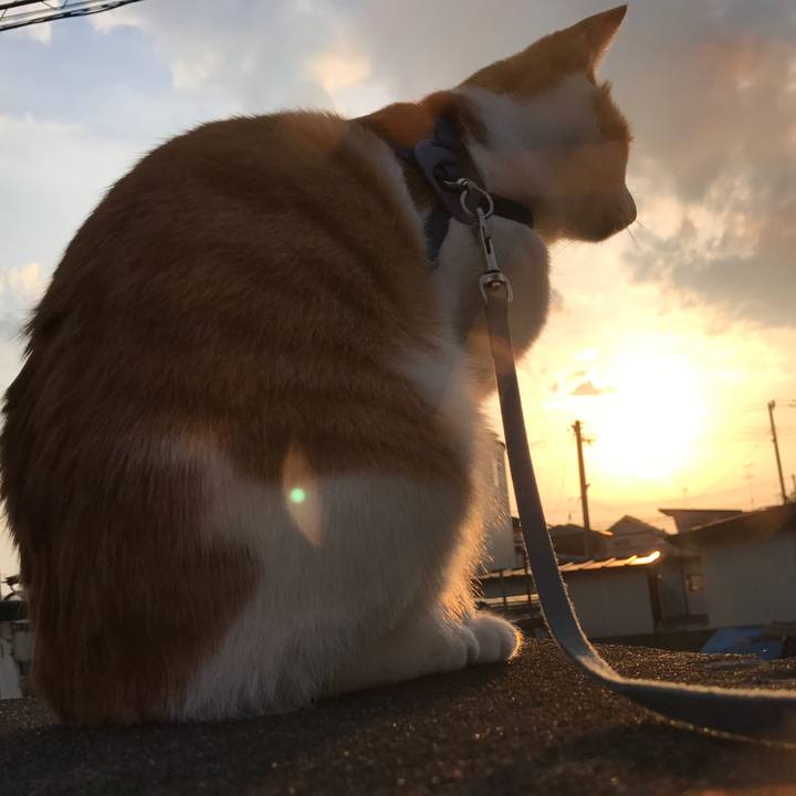 86902bad ec25 477a b2b9 139153865f8f