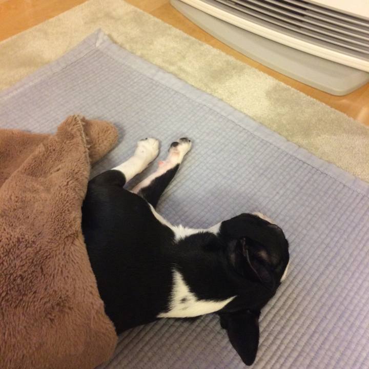 869047c2 5a06 4e59 a5a3 bbcebb06437a