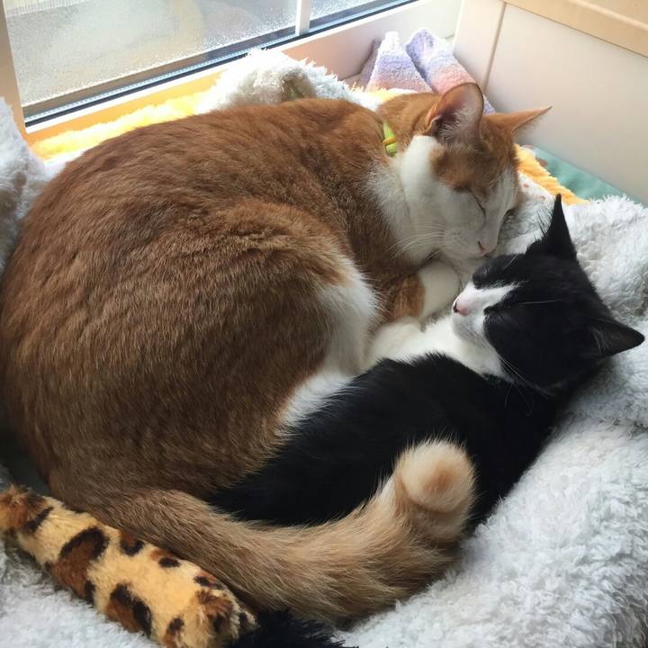 86905a99 f5c6 4336 a19a d486d137f75d