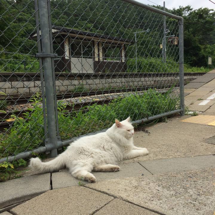 869091a0 7e4f 49b4 90b7 25a5938f88c9