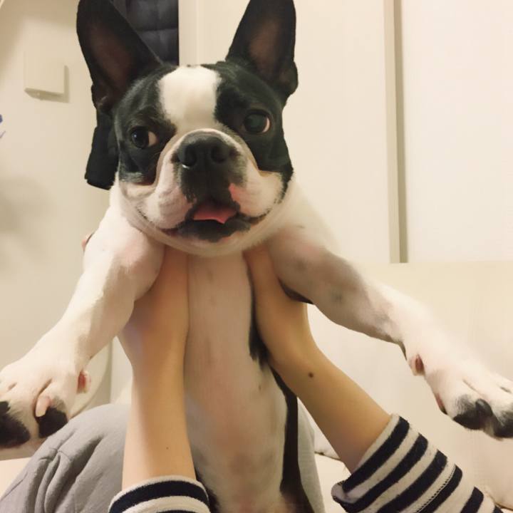 86910a78 65e3 4f45 8853 1deec71f2115