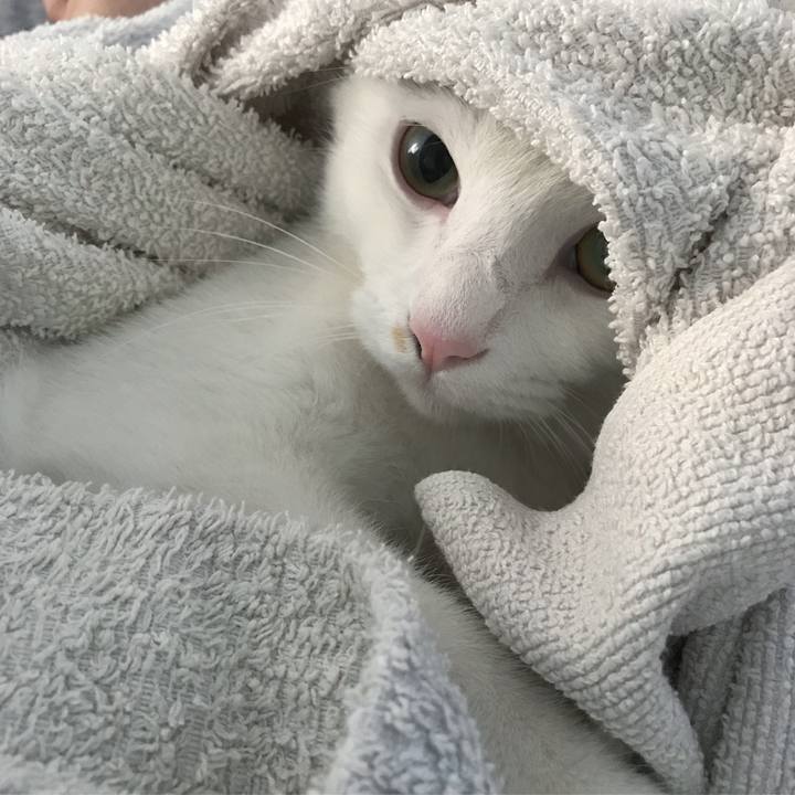 86912d09 8699 472b a5b3 9113834297f0