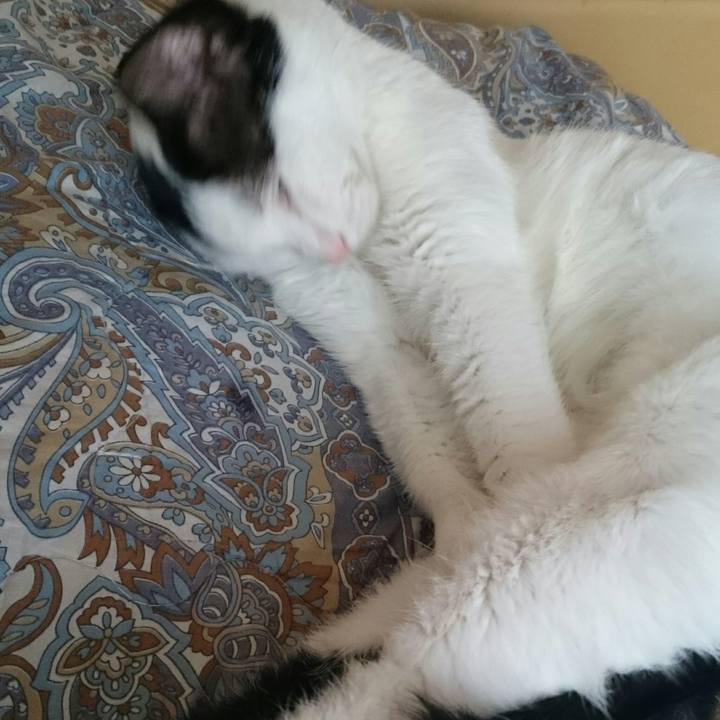 8693d799 1202 4841 b0fc f476a54aafa3