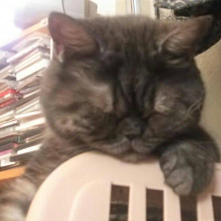 86948835 67a3 4f69 8f61 36599d11da71