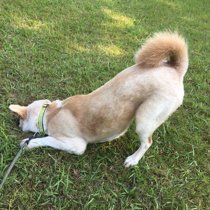 8694ad90 d5ad 4dae 8a9d 323ff365bf7c