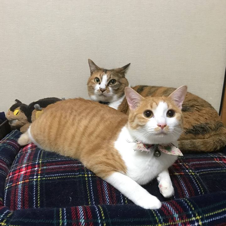 8694e57d ca52 4904 a725 df02d0167b62