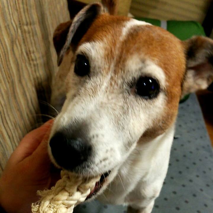 869523b3 f84e 4de5 9824 0548a174b3d8