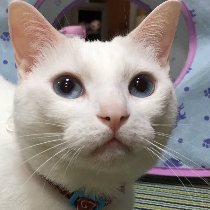 86957b71 6124 4395 be3e 0d183668bc56