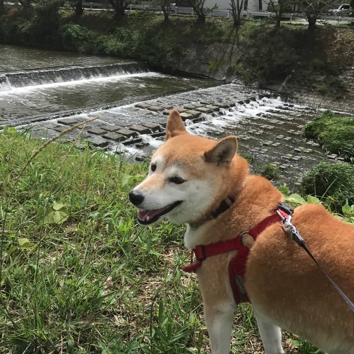 869598b8 a2a0 4fbb 8adb 801a677d7251