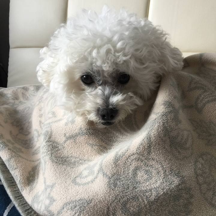 869598bf 1795 4a08 9ef0 e5a13e3b99b0