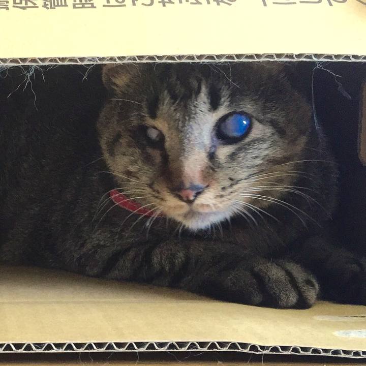 86959bca 6f2e 4266 b910 bf71cf377826